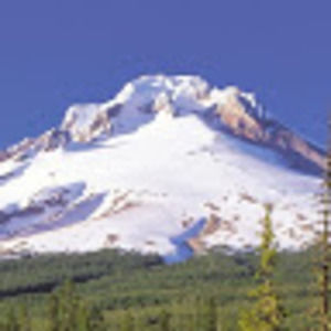 Meet your Posher, Matt & darcy